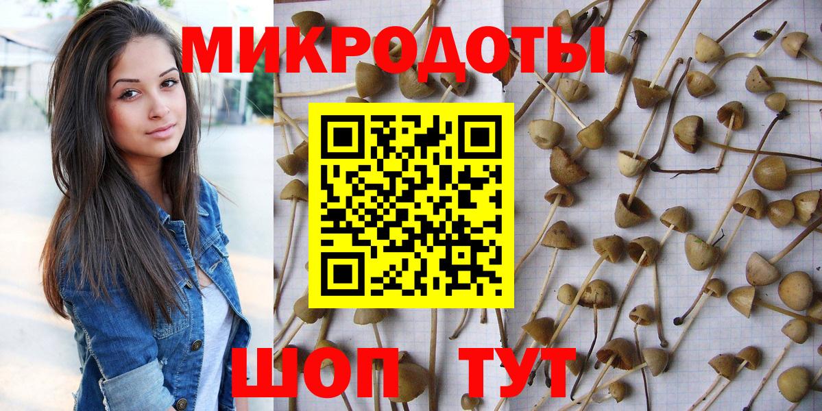 Галлюциногенные грибы Magic Shrooms Свободный